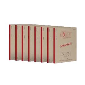 [Stray Kids] 7th Mini Album MAXIDENT (CASE Ver.)